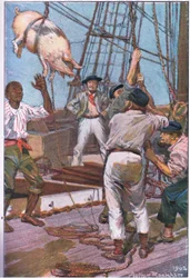 Das Schwein quiekte wie der 